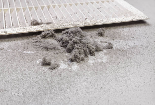 Best Local Air Duct Cleaning Services  in Polo, IL