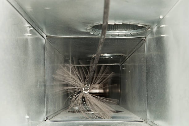 Best Air Vent Cleaning Services  in Polo, IL