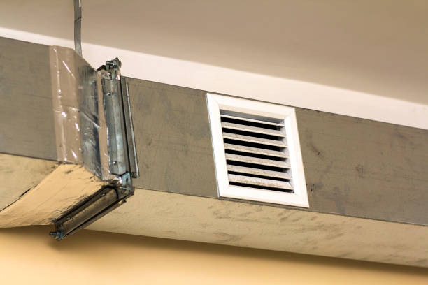 Best Professional Duct Cleaning Services  in Polo, IL